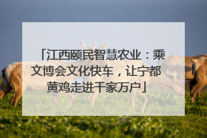 江西颐民智慧农业：乘文博会文化快车，让宁都黄鸡走进千家万户