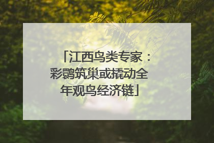 江西鸟类专家：彩鹮筑巢或撬动全年观鸟经济链