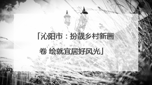 沁阳市：扮靓乡村新画卷 绘就宜居好风光