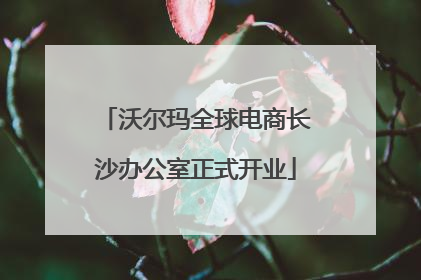 沃尔玛全球电商长沙办公室正式开业