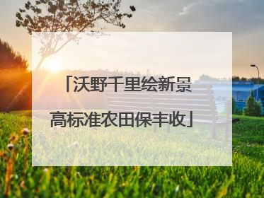 沃野千里绘新景 高标准农田保丰收
