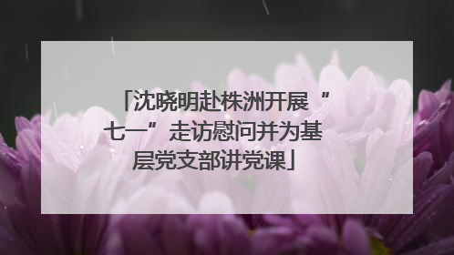 沈晓明赴株洲开展“七一”走访慰问并为基层党支部讲党课