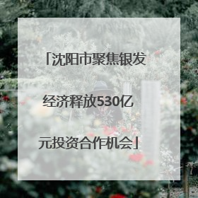 沈阳市聚焦银发经济释放530亿元投资合作机会