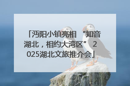 沔阳小镇亮相 “知音湖北，相约大湾区” 2025湖北文旅推介会