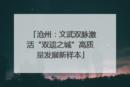 沧州：文武双脉激活“双遗之城”高质量发展新样本