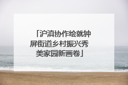 沪滇协作绘就钟屏街道乡村振兴秀美家园新画卷