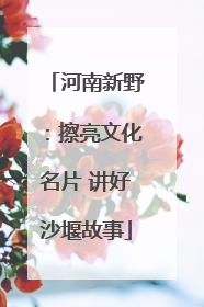 河南新野：擦亮文化名片 讲好沙堰故事