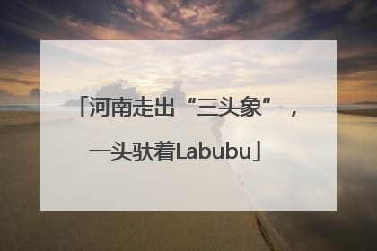 河南走出“三头象”，一头驮着Labubu