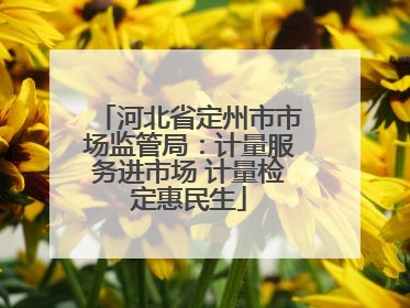 河北省定州市市场监管局：计量服务进市场 计量检定惠民生