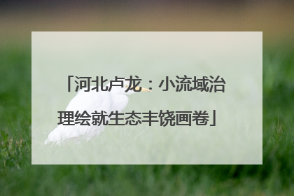 河北卢龙：小流域治理绘就生态丰饶画卷