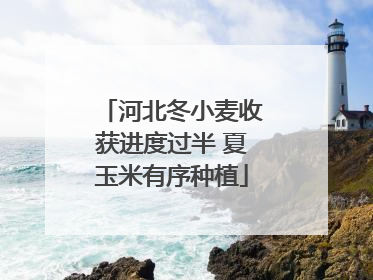 河北冬小麦收获进度过半 夏玉米有序种植