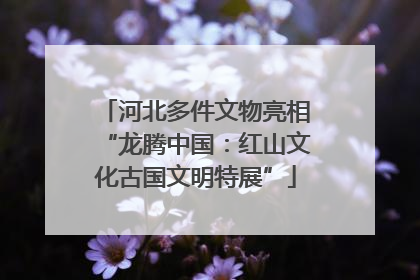 河北多件文物亮相“龙腾中国：红山文化古国文明特展”