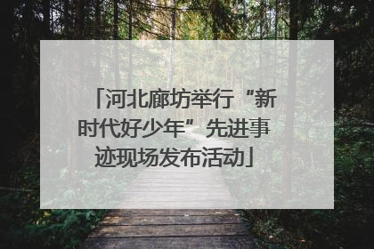 河北廊坊举行“新时代好少年”先进事迹现场发布活动