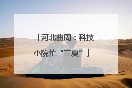 河北曲周：科技小院忙“三夏”