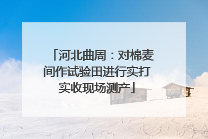 河北曲周：对棉麦间作试验田进行实打实收现场测产
