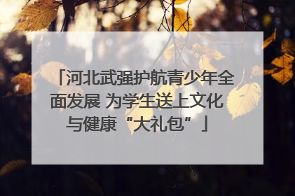 河北武强护航青少年全面发展 为学生送上文化与健康“大礼包”