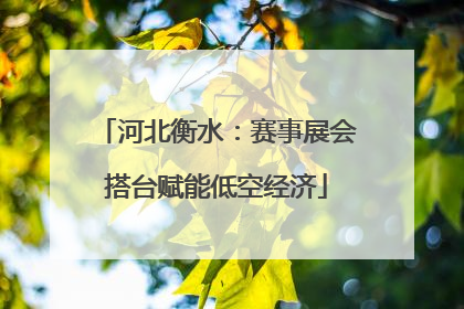 河北衡水：赛事展会搭台赋能低空经济