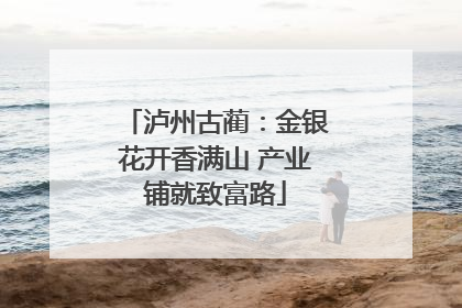 泸州古蔺：金银花开香满山 产业铺就致富路