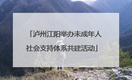 泸州江阳举办未成年人社会支持体系共建活动