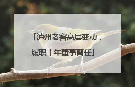 泸州老窖高层变动，履职十年董事离任