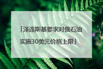 泽连斯基要求对俄石油实施30美元价格上限