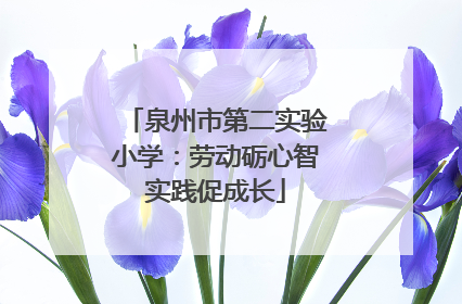 泉州市第二实验小学：劳动砺心智实践促成长