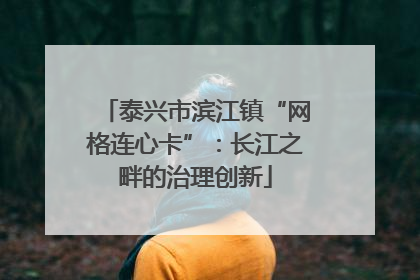 泰兴市滨江镇“网格连心卡”：长江之畔的治理创新