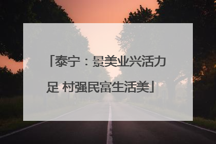 泰宁：景美业兴活力足 村强民富生活美