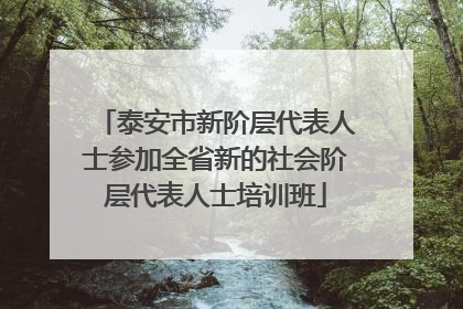 泰安市新阶层代表人士参加全省新的社会阶层代表人士培训班