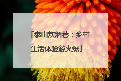 泰山炊烟巷：乡村生活体验游火爆