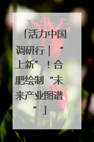 活力中国调研行｜“上新”！合肥绘制“未来产业图谱”