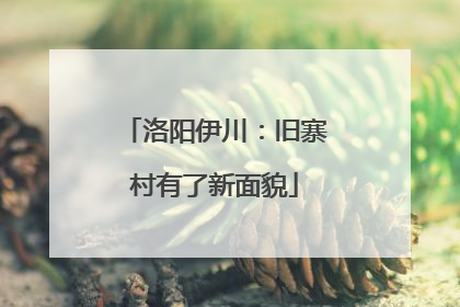 洛阳伊川：旧寨村有了新面貌