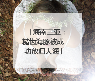 海南三亚：糙齿海豚被成功放归大海