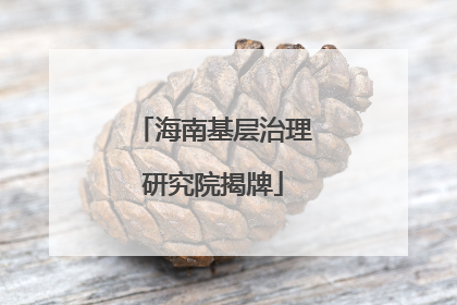 海南基层治理研究院揭牌