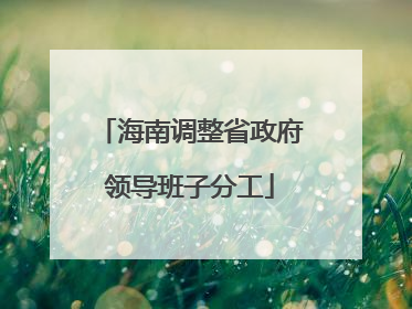 海南调整省政府领导班子分工