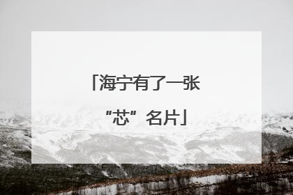 海宁有了一张“芯”名片
