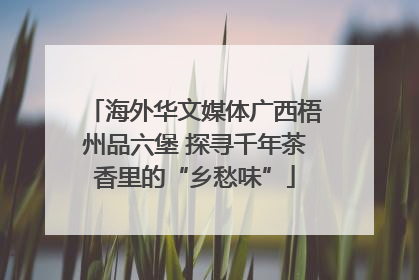海外华文媒体广西梧州品六堡 探寻千年茶香里的“乡愁味”
