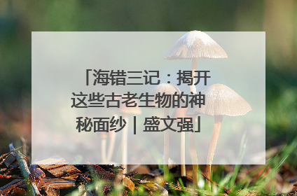 海错三记：揭开这些古老生物的神秘面纱｜盛文强