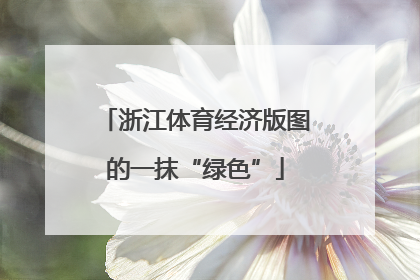 浙江体育经济版图的一抹“绿色”