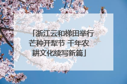 浙江云和梯田举行芒种开犁节 千年农耕文化续写新篇