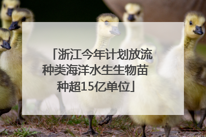 浙江今年计划放流种类海洋水生生物苗种超15亿单位