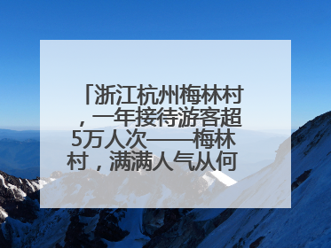 浙江杭州梅林村，一年接待游客超5万人次——梅林村，满满人气从何来（经济新方位·农村消费观察）
