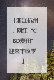 浙江杭州：网红“CBD麦田”迎来丰收季