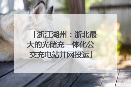 浙江湖州：浙北最大的光储充一体化公交充电站并网投运