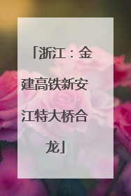 浙江：金建高铁新安江特大桥合龙