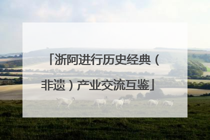 浙阿进行历史经典（非遗）产业交流互鉴