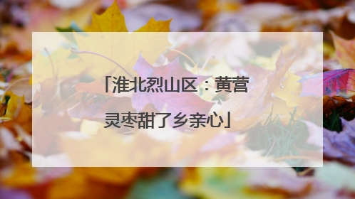 淮北烈山区：黄营灵枣甜了乡亲心