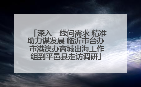深入一线问需求 精准助力谋发展 临沂市台办 市港澳办商城出海工作组到平邑县走访调研
