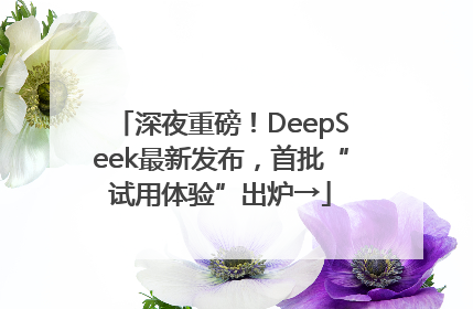 深夜重磅！DeepSeek最新发布，首批“试用体验”出炉→