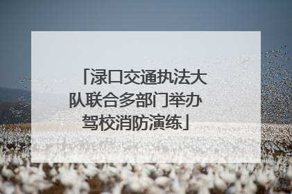 渌口交通执法大队联合多部门举办驾校消防演练